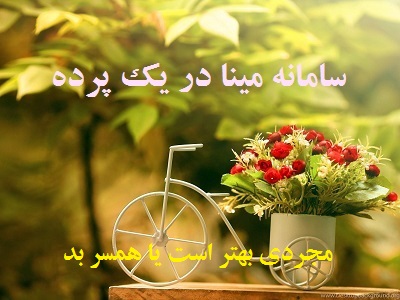 مینا در یک پرده